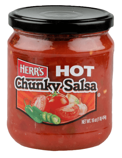 Hot Salsa Dip